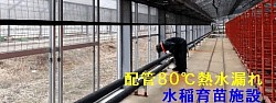 JA育苗ハウス熱水配管漏れ補修